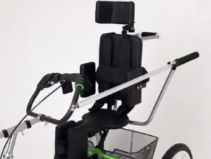 Подголовник