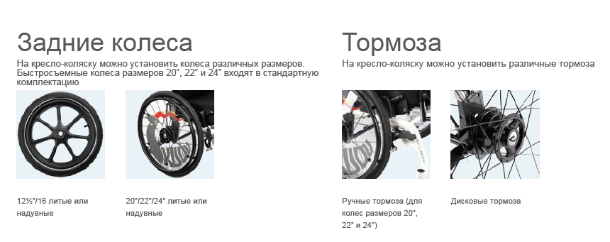 задн кол.png задн кол.png