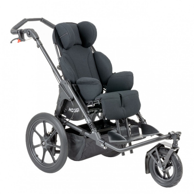 Прогулочная коляска для детей с ДЦП HOGGI Bingo Evolution Switch